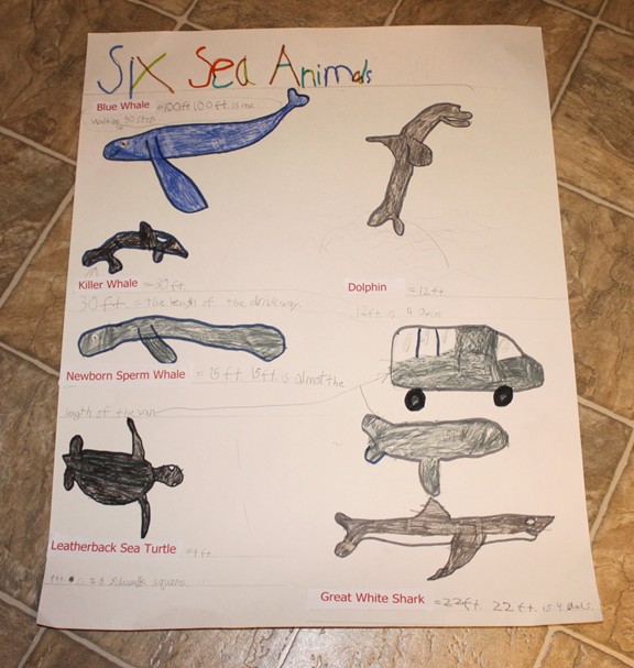Science and Math Activity: Measuring the Length of Sea Animals - Frugal Fun  For Boys and Girls