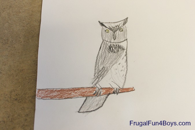 Exploring Nature with Kids by Observing and Sketching - Frugal Fun For Boys  and Girls