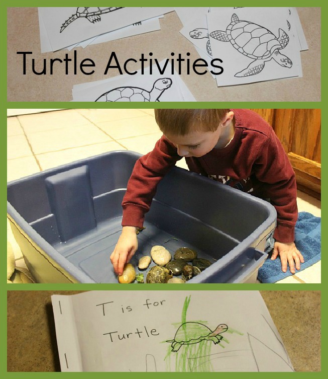 Turtle Activities For Preschoolers Frugal Fun For Boys And Girls