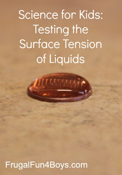 Science for Kids:  Testing the Surface Tension of Liquids