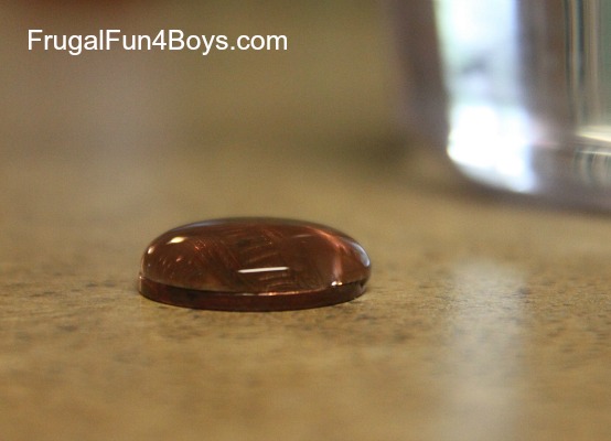 Science Experiment for Kids:  Testing the Surface Tension of Liquids