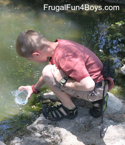 Make a water scope to see into a pond or stream
