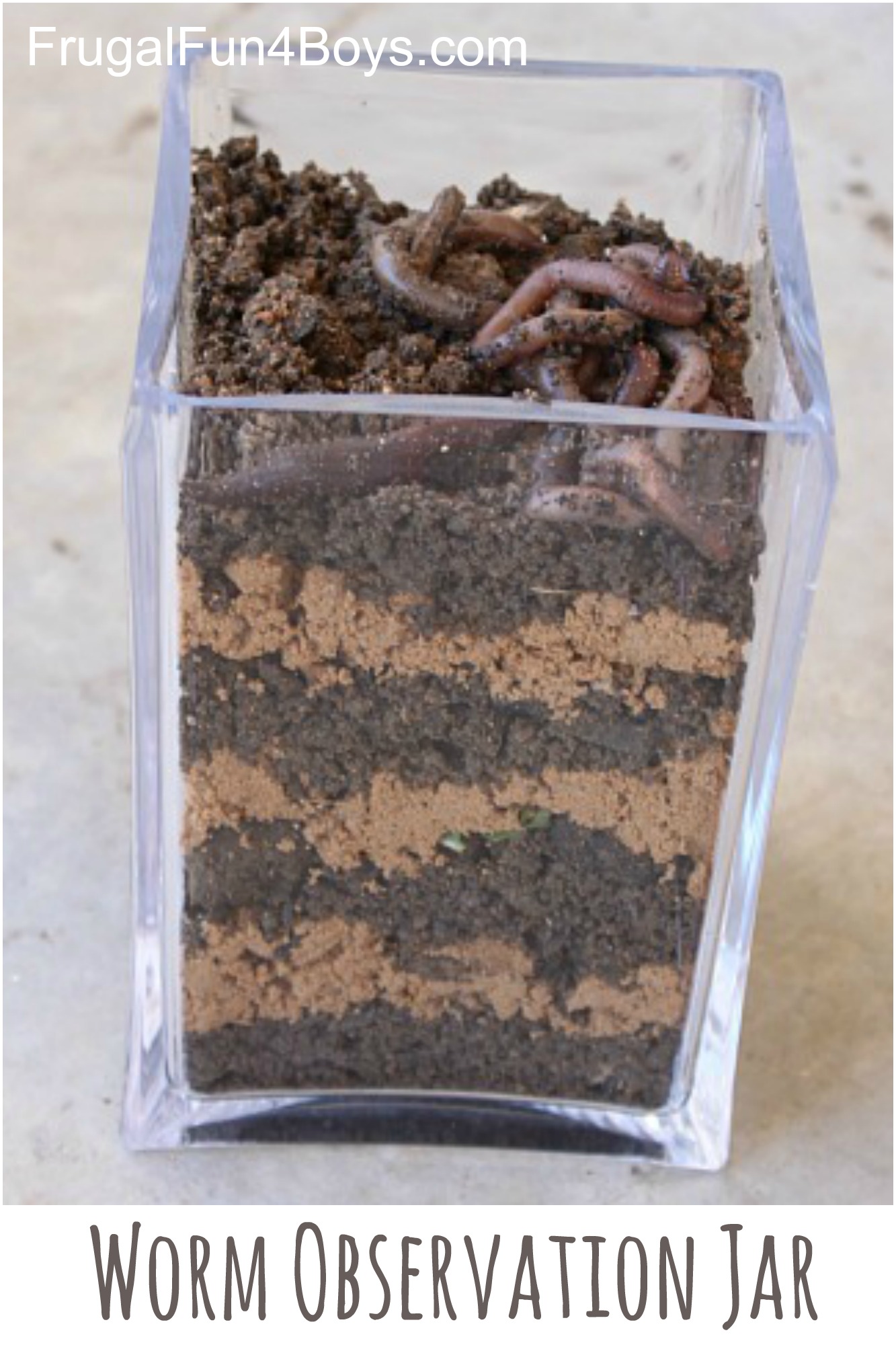Make a Worm Observation Jar - This is a great way to learn about what worms do for the earth!