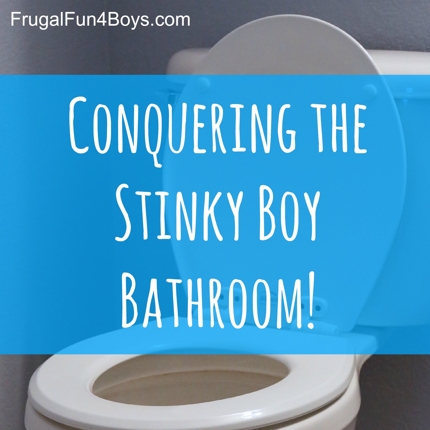 Conquering the Stinky Boy Bathroom - Ideas for getting rid of the lingering pee smell!