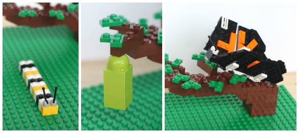 Build the Monarch Butterfly Life Cycle with Legos