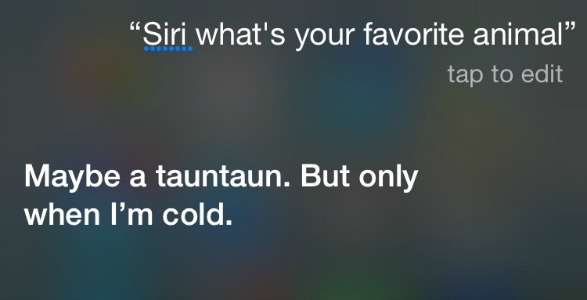 Funny Questions to Ask Siri