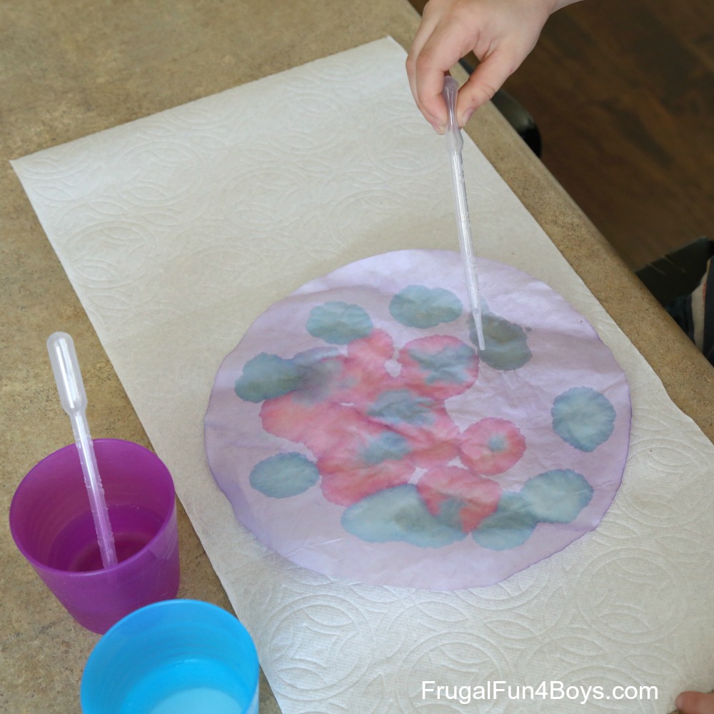 Make Your Own Litmus Paper