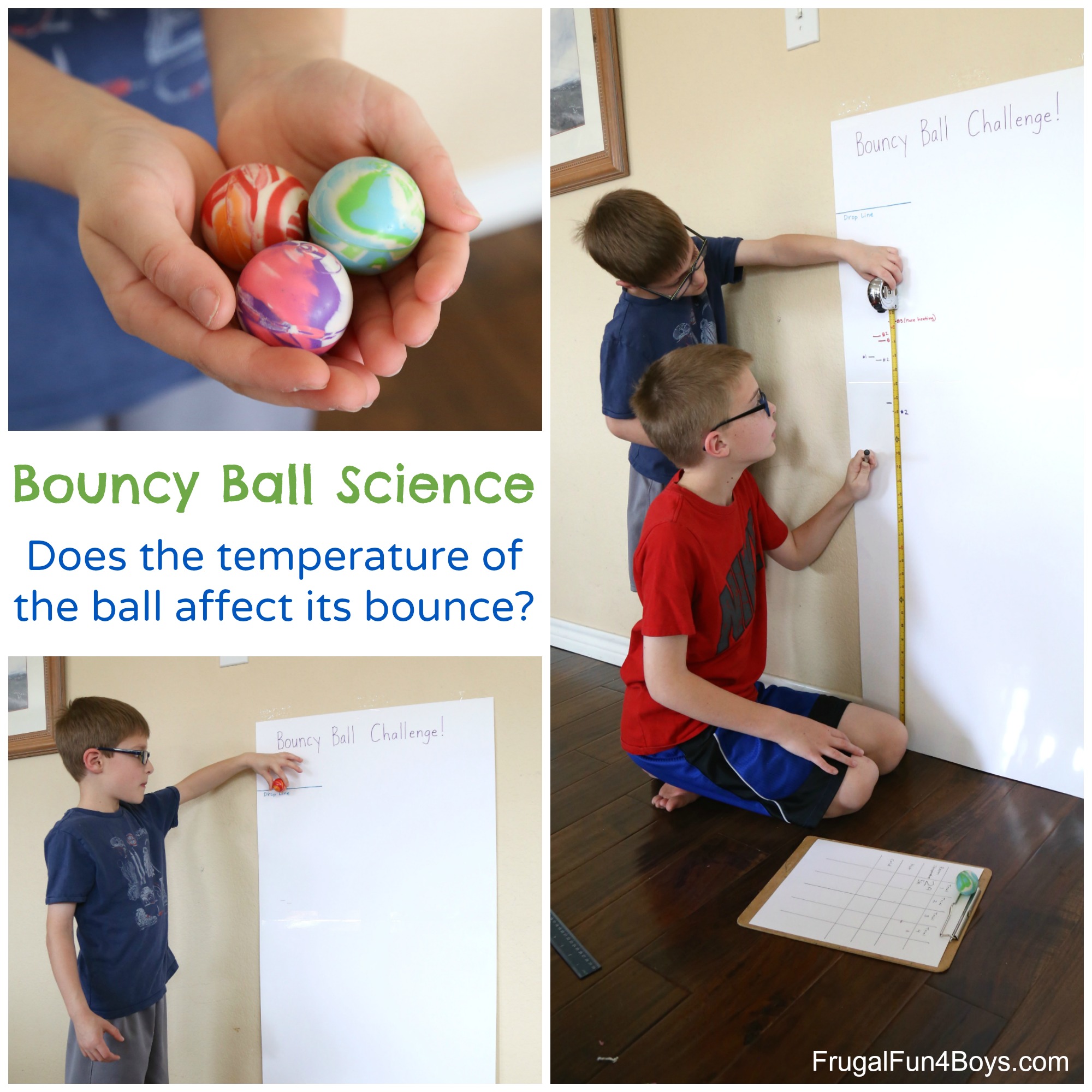 Bouncy Ball Science:  Does the temperature of the ball affect its bounce?