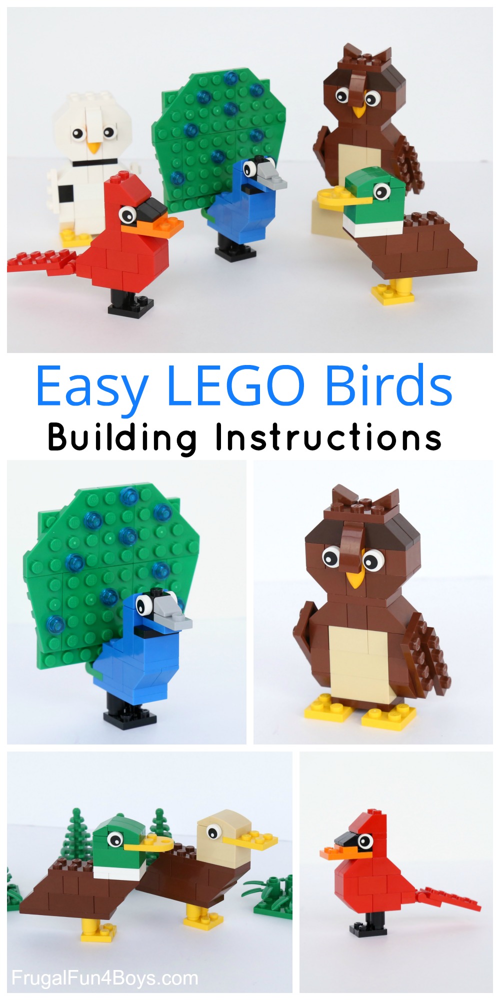 Simple Brick Birds Building Fun For Boys and Girls
