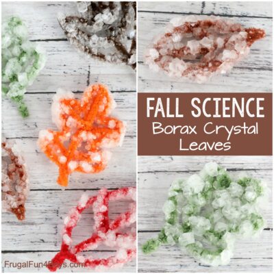 Fall Leaf Borax Crystal Science
