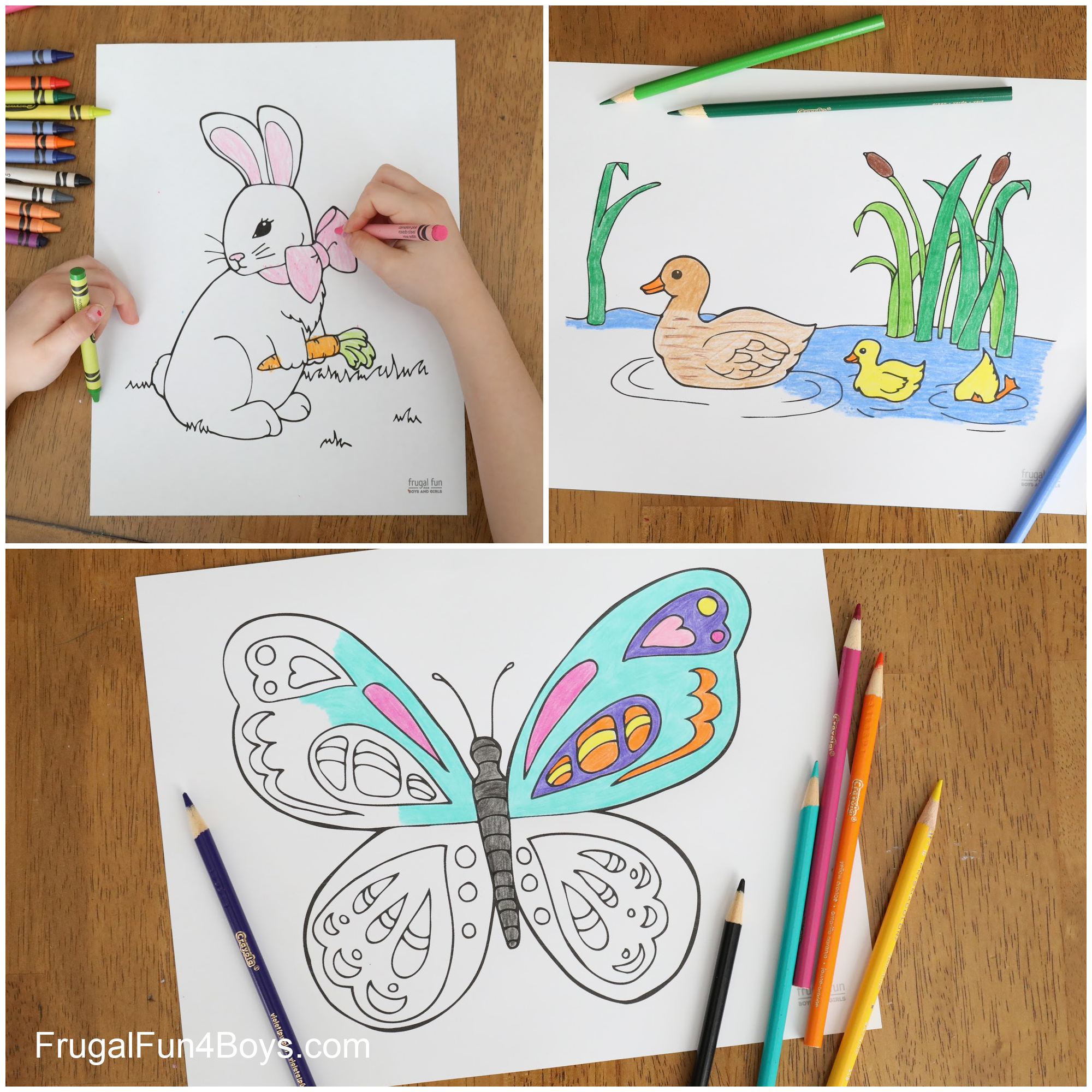 Spring Coloring Pages   Frugal Fun For Boys and Girls