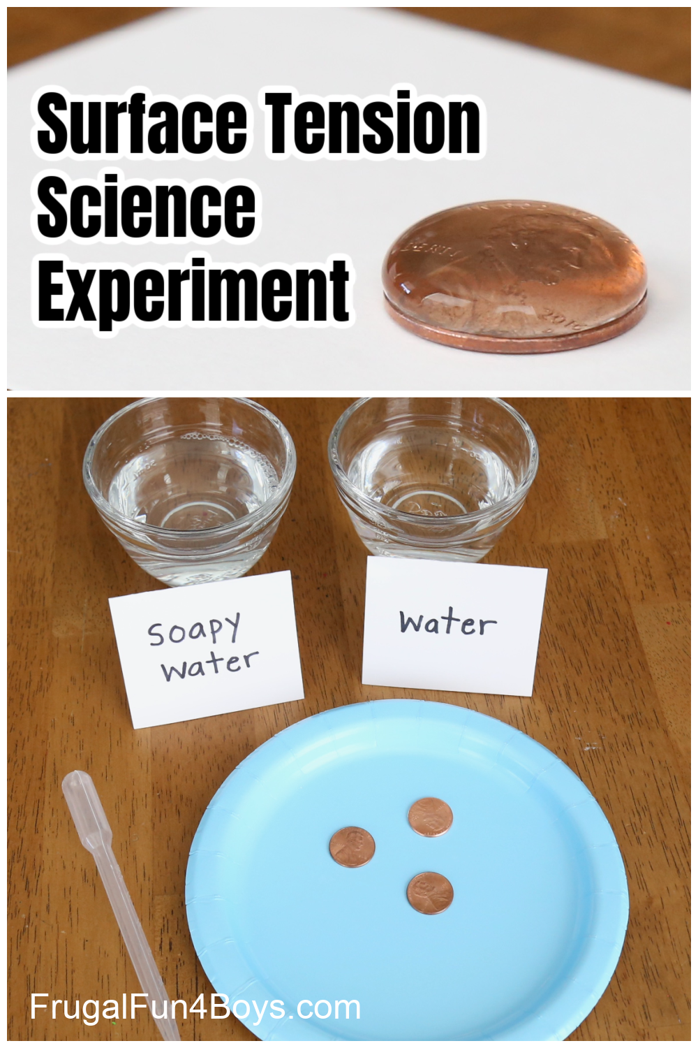 Drops of Water on a Penny Science Experiment