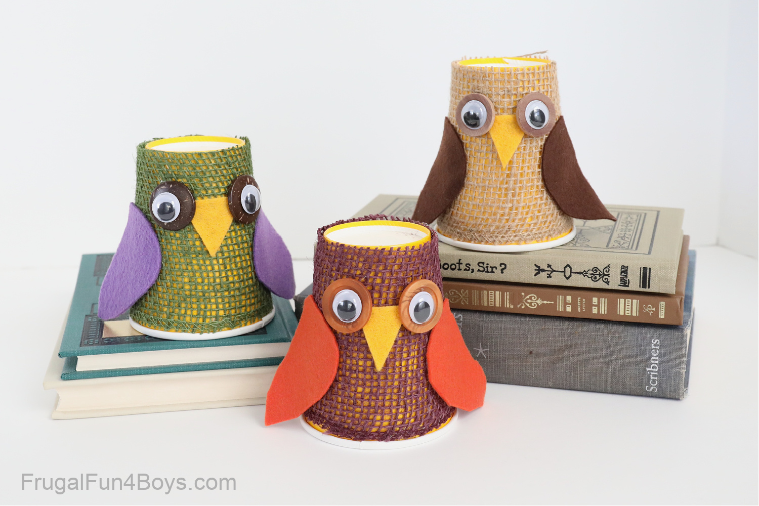 Paper Cup Owl Craft