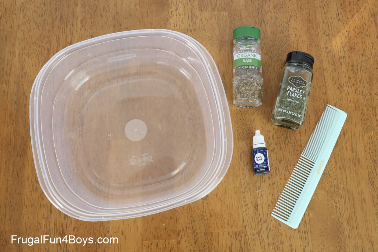 Amazing Ocean Science Experiments - Frugal Fun For Boys and Girls