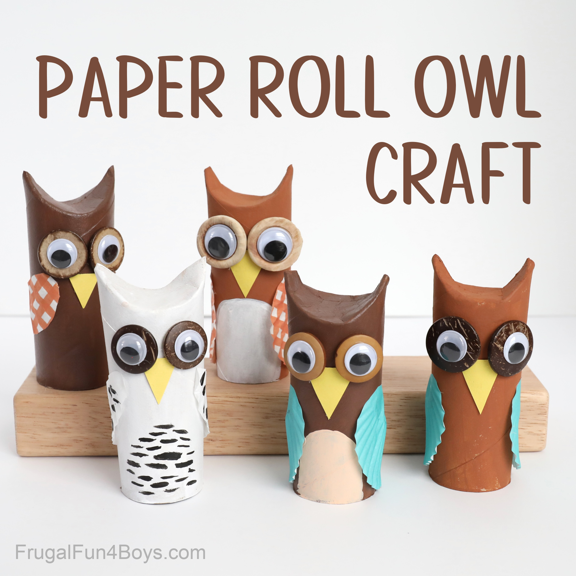 Toilet Paper Roll Owls - Frugal Fun For Boys and Girls