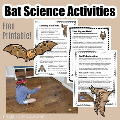 Cool Science Activities with BATS!