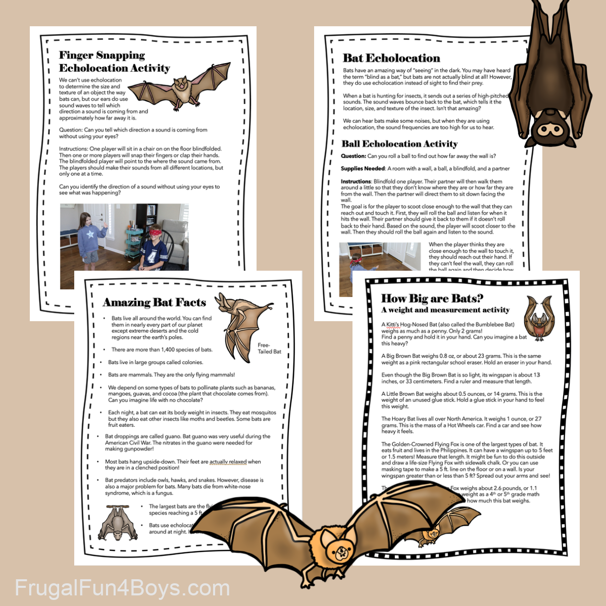 Printable pages with science and math activities about bats