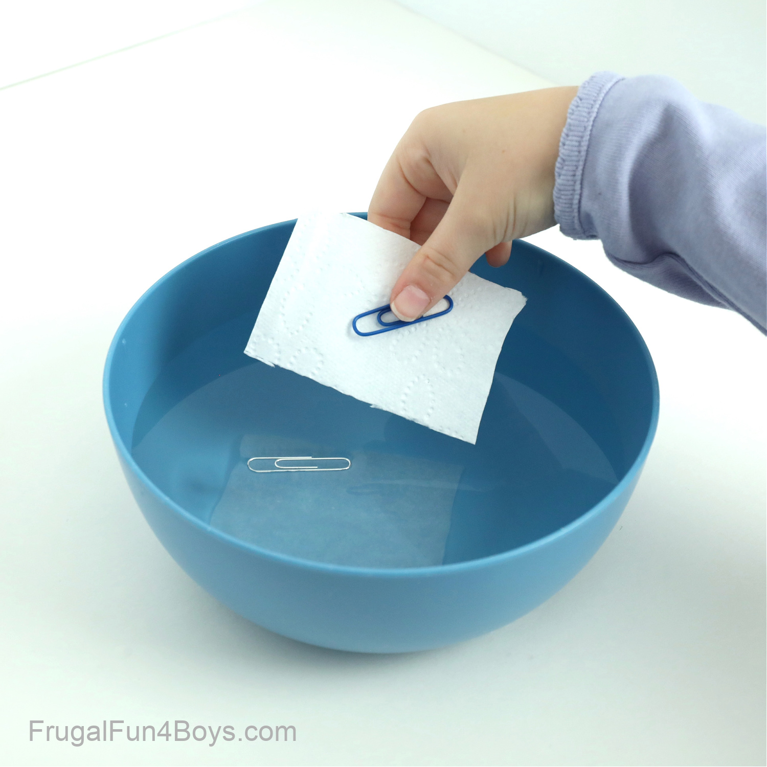 Floating Paper Clip Science Experiment