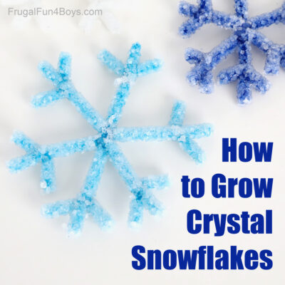 Borax Crystal Snowflake Science Experiment
