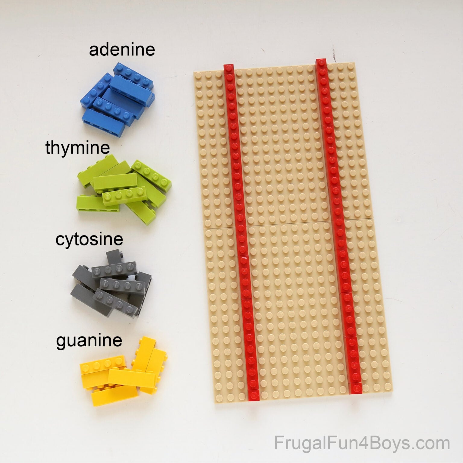LEGO DNA Activity - Frugal Fun For Boys and Girls