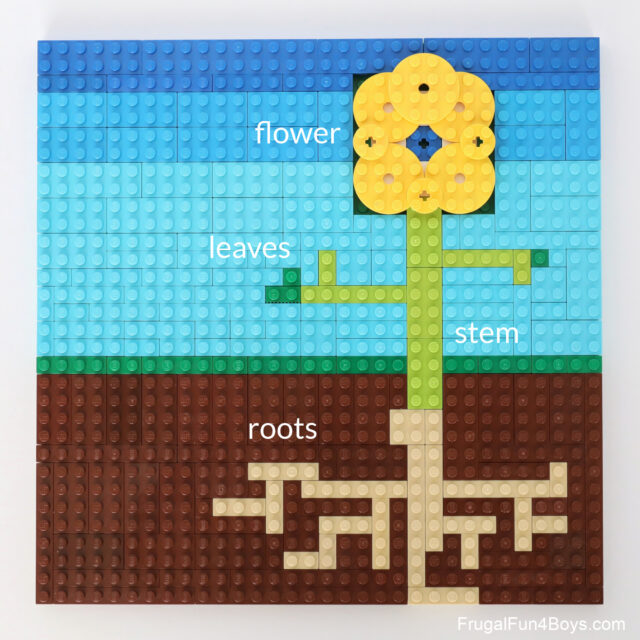 LEGO Botany Project Ideas - Frugal Fun For Boys and Girls