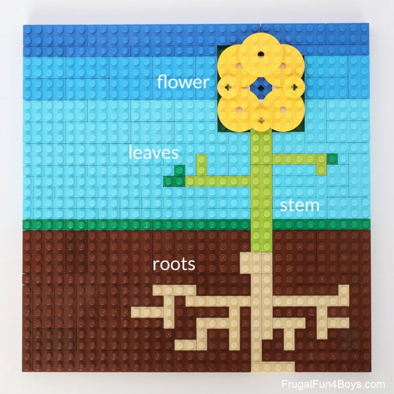 LEGO Botany Project Ideas - Frugal Fun For Boys and Girls